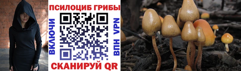 Галлюциногенные грибы GOLDEN TEACHER купить закладку Избербаш