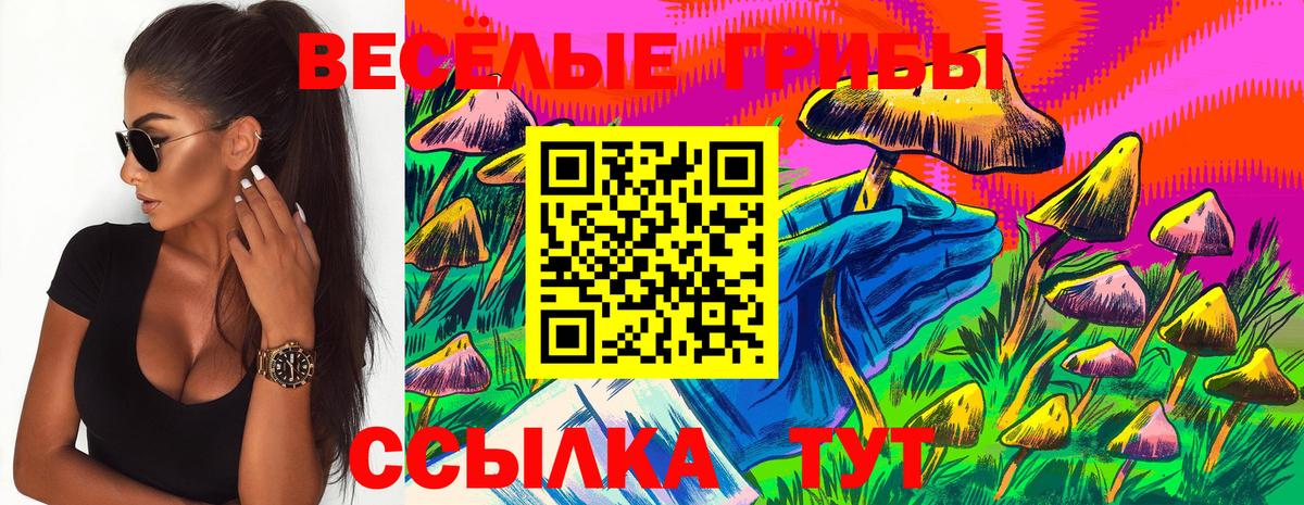 Галлюциногенные грибы GOLDEN TEACHER Избербаш