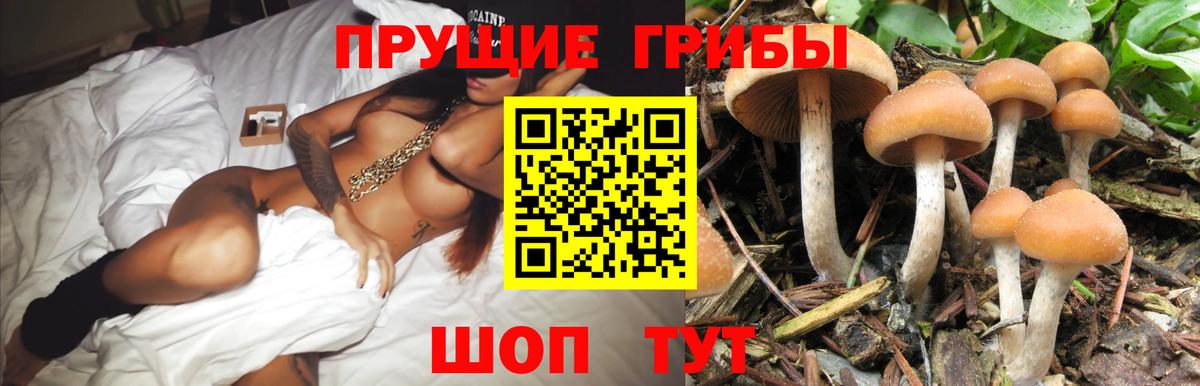 Галлюциногенные грибы прущие грибы  Вход с VPN  Избербаш 